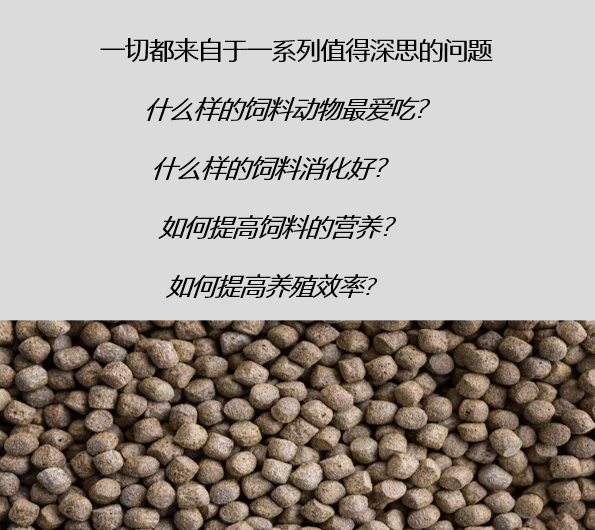關(guān)于飼料生產(chǎn)的熟化工藝，以及保持器/保質(zhì)器的應用解析