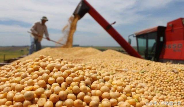 美國大豆出口大會閉幕，中國買家一顆沒買